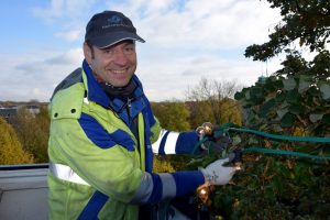 Stadtwerke-Mitarbeiter Martin Pfitzner bringt die ersten Lichterketten für die Weihnachtsbeleuchtung an. (Foto: Stadtwerke)