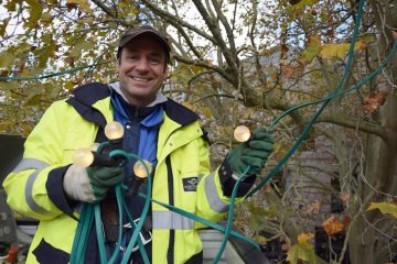 Insgesamt 11 Kilometer Lichterketten bringen Beleuchtungstechniker Martin Pfitzner und seine Kollegen in Münsters Baumkronen an. (Foto: Stadtwerke Münster)