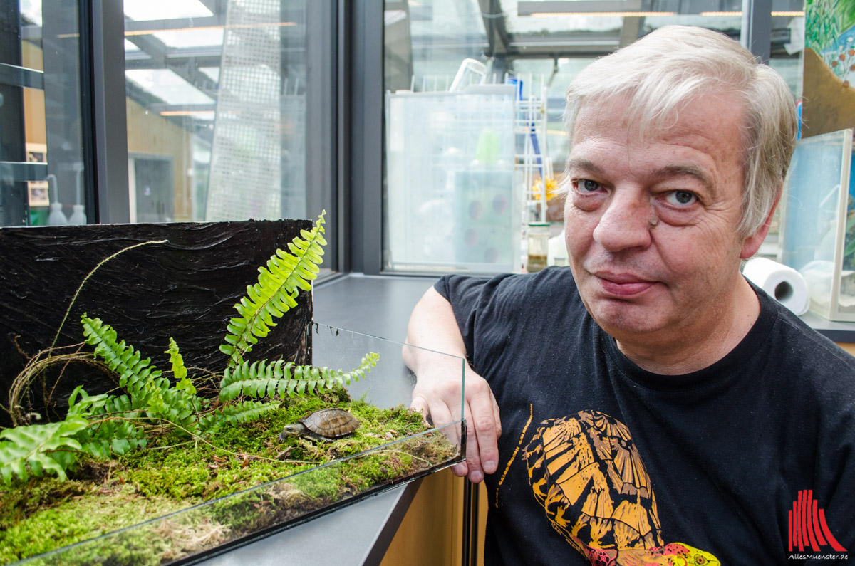 Bei der Zhous Scharnierschildkröte (Cuora zhoui) konnte Elmar Meier schon rund 50 Nachzuchten erzielt – diese stellen mit den Elterntieren betrachtet rund 2/3 des bekannten Weltbestandes der Art dar. (Foto: th)