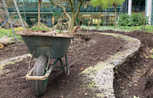 Wer den Garten winterfest macht, sollte auch außenliegende Wasserrohre und -hähne entleeren. (Foto: Stadtnetze Münster)