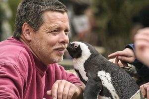 Pinguindame Sandy und "ihr" Pfleger Peter Vollbracht. (Foto: Allwetterzoo)