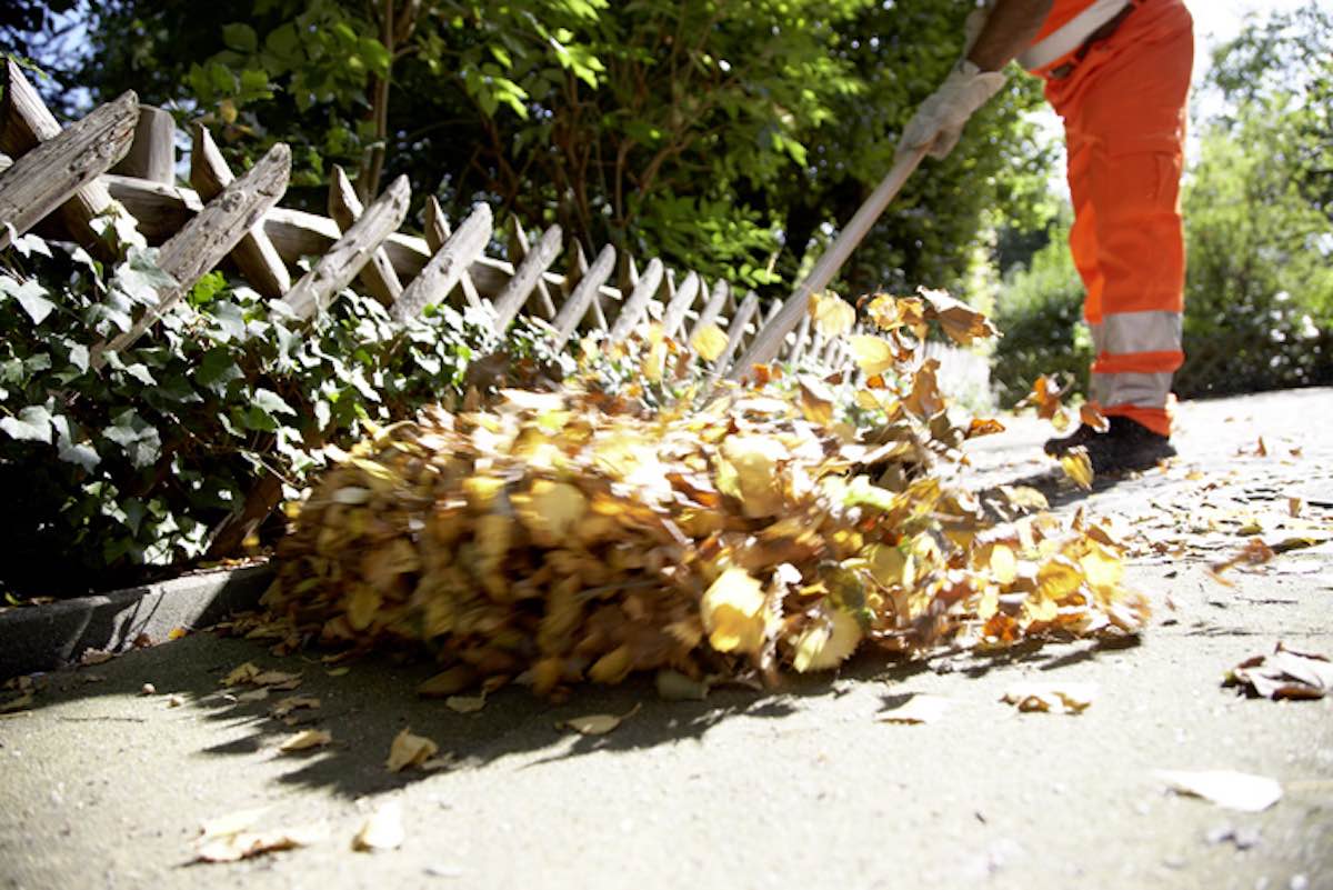 Die AWM befreien Münsters Straßen und Wege vom Laub. Am Ende der Herbstsaison werden es 1000 Tonnen sein. (Foto: Stadt Münster)