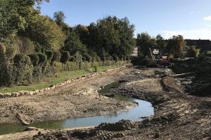 Die Aa im Bereich der Westerholtschen Wiese. (Foto: Stadt Münster)