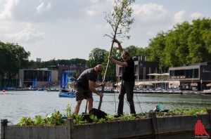 Künstler Weppelmann (re.) stellt mit tatkräftiger Unterstützung von Dr. Andreas Mussenbrock, einem Freund, seinen Baum wieder auf. (Foto: th)