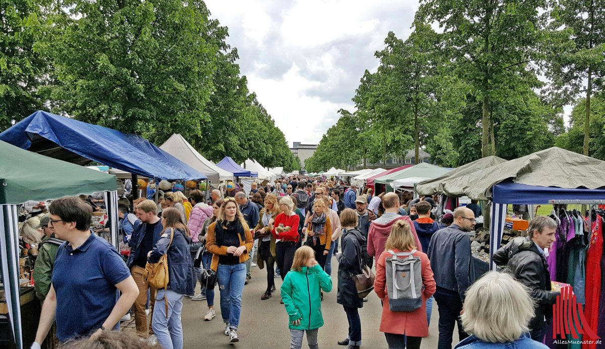 PromenadenFlohmarkt geht in die zweite Runde ALLES MÜNSTER