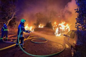 Am Düesbergweg brannten mehrere Pkw aus. (Foto: Feuerwehr Münster)