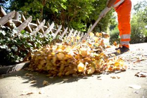 Der Herbst hat auch für die Abfallwirtschaftsbetriebe begonnen. Rund 1000 Tonnen Laub holen die Teams der AWM in jedem Jahr von den Straßen und Wegen. (Foto: Stadt Münster)