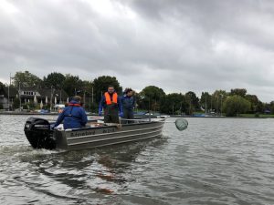 Fachleute des Ruhrverbandes untersuchen in der nächsten Woche den Fischbestand im Aasee. (Foto: Stadt Münster / Lutz Hirschmann)