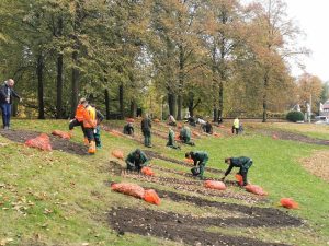 Rund 25 Schülerinnen und Schüler des Wilhelm-Emmanuel-von-Ketteler-Berufskollegs, setzten knapp drei Tonnen Narzissenzwiebeln in die Erde. (Foto: Amt für Kommunikation)