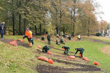 Rund 25 Schülerinnen und Schüler des Wilhelm-Emmanuel-von-Ketteler-Berufskollegs, setzten knapp drei Tonnen Narzissenzwiebeln in die Erde. (Foto: Amt für Kommunikation)