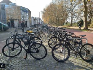 Die Möglichkeiten des Fahrradparkens erweitern sich in Münster kontinuierlich, wie hier an der Bismarkallee. (Foto: Stadt Münster / Presseamt)