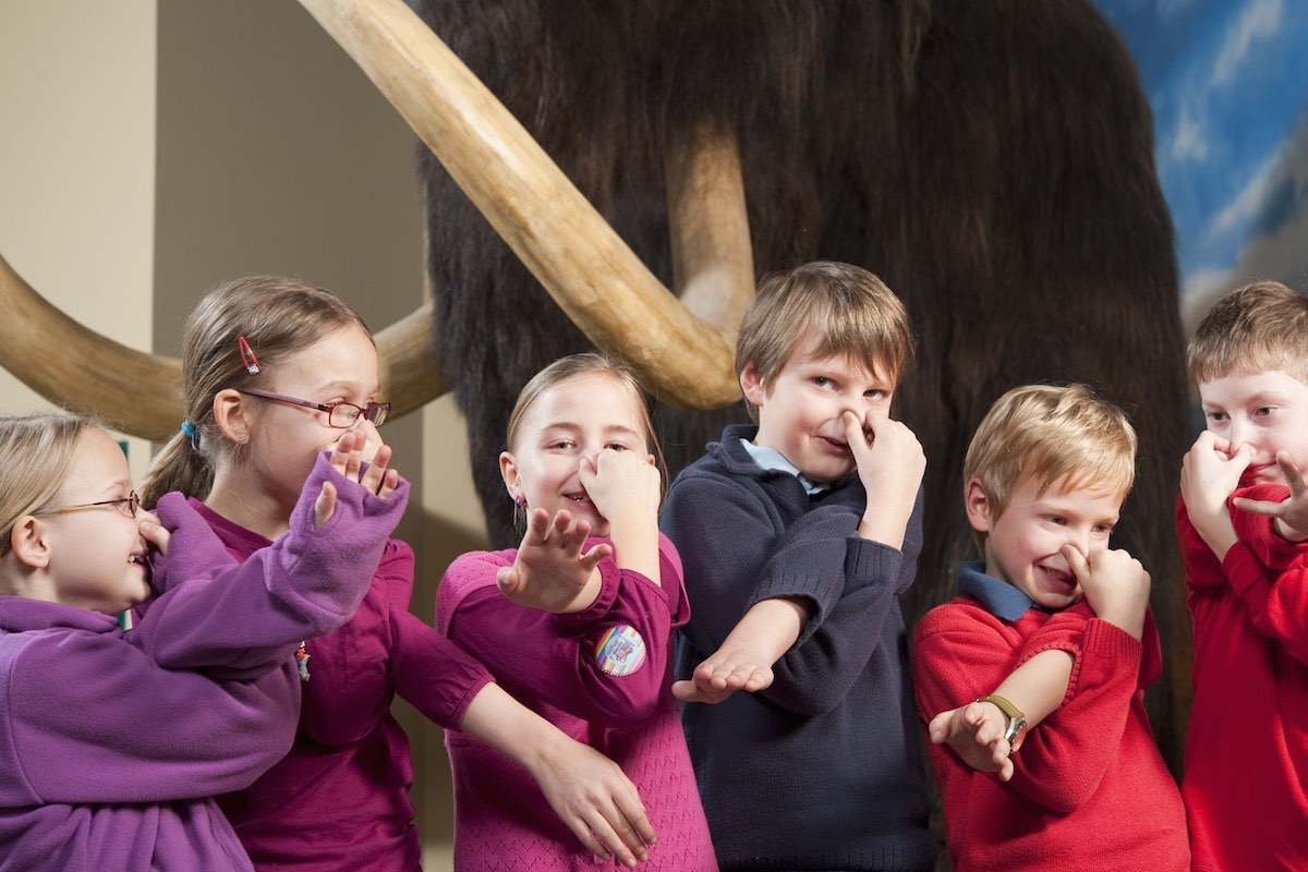Kühl wird es den Ferienkids bei der Eiszeit mit Mammut im LWL-Museum für Naturkunde. (Foto: LWL / Oblonczyk)