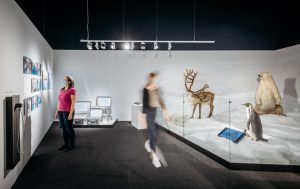 Eine Leitfrage der Ausstellung beschäftigt sich mit der Ausbreitung des Menschen, der selbst in unwirtlichen Regionen wie der Antarktis überlebensfähig ist. (Foto: LWL/Steinweg)