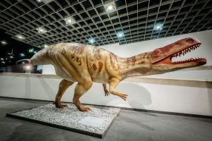 Mehr über Wiehenvenator und Co. erfahren die Gäste in der neuen Dinosaurier-Schau "The Big 5+" im LWL-Museum für Naturkunde. (Foto: LWL / Steinweg)