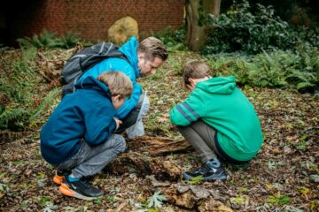 Den Insekten auf die Spur gehen, ist möglich im LWL-Museum für Naturkunde. (Foto: LWL/Steinweg)