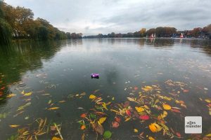 Für das Laienauge vollkommen unsichtbar: das sensorunterstützte Aasee-Monitoring. (Foto: Michael Bührke)