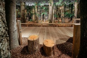 Ein täuschend echter Eichen-Hainbuchen-Wald hält Einzug im LWL-Museum für Naturkunde für die neue Sonderausstellung "Alleskönner Wald". (Foto: LWL/ Steinweg)