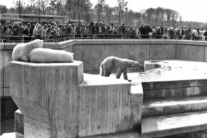 Hatte nur bedingt Ähnlichkeit mit der Arktis, das damalige Gehege der Eisbären. (Foto: Allwetterzoo)