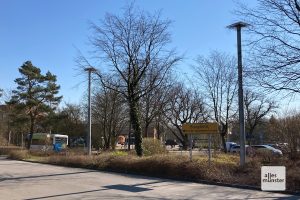 Auch auf dem Parkplatz finden die Störche Nistmöglichkeiten. (Foto: Sebastian Rohling)