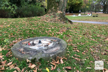 Von der Säule ist nur noch der Sockel mit der Vogeltränke vorhanden. (Foto: Bührke)