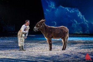 Zottelesel und Publikumsliebling „Anouky“. (Foto: sg)