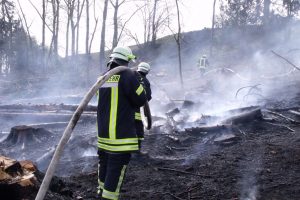 Die Feuerwehr bei Löscharbeiten eines Waldbrandes. (Foto: Wald und Holz NRW)