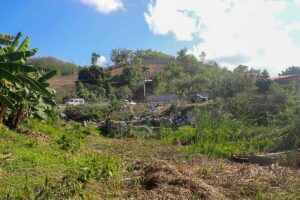 Waldrodung ist ein ernstzunehmendes Problem auf der Karibikinsel. Durch den Schwund der Pflanzen kommt es bei Regengüssen vermehrt zu Erdrutschen und Ausspülungen von Sedimenten. (Foto: James Josaphat)