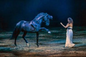 Freiheitsdressur von Kenzie Dysli in der Show „Legende der Wüste“. (Foto: ©CAVALLUNA)