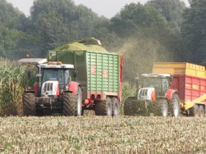 Die Maisernte ist in vollem Gange. (Foto: WLV)