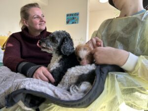 Die tiergestützte Therapie von Bianca Terhürne unterstützt die Behandlung von Kindern im Alexianer Clemenshospital Münster. (Foto: Alexianer)