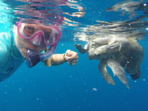 Die Meeresbiologin Christine Figgener mit einem Pärchen Meeresschildkröten. (Foto: Figgener)