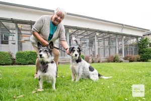 Doris Hoffe ist seit 1990 Vorsitzende des Tierschutz-Vereins Münster. (Foto: Michael Bührke)