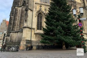 Viele Laternenpfähle werden wie in die Jahren zuvor mit Weihnachtsschmuck umwickelt (Foto: Jasmin Reghat)