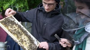 Hobbyimker Steffen Schmidt erklärt im Campusgarten die Entwicklung des Bienenvolkes. (Foto: FH Münster/ Oecotrophologie – Facility Management) 