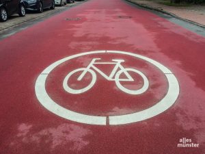 Die Stadt Münster hat mit den Fahrradstraßen nach neuem Qualitätsstandard den 2. Preis des deutschen Fahrradpreises gewonnen. (Archivbild: Stephan Günther)