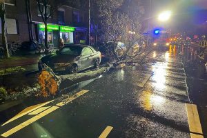 Durch Sturm „Zeynep“ hatte die Feuerwehr in Münster mit zahlreichen umgeknickten und entwurzelten Bäumen zu tun. (Foto: Löschzug Altstadt / Feuerwehr Münster)