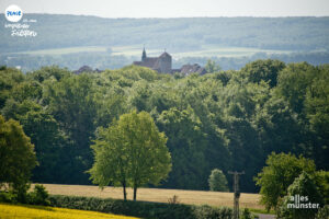 Die hügelige Landschaft des Teutoburger Waldes eröffnet immer wieder tolle Ausblicke. (Foto: Bührke)