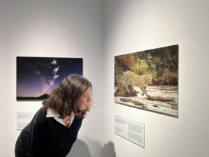 Genaues Hinschauen ist in der Ausstellung „Wildlife Photographer of the Year“ ausdrücklich erwünscht. (Foto: WPM)