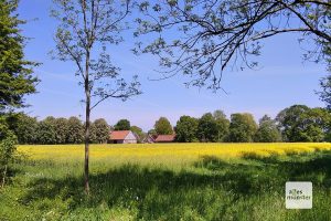 Auf dem Weg zu den Highlights gibt es immer wieder jede Menge Münsterland zu entdecken. (Foto: Marc Pinnekamp)