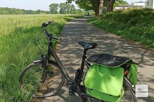 Was passiert in Sachen Nachhaltigkeit in Münster? Radtouren der Initiative "Münster nachhaltig" bringen das Thema näher. (Archivbild: Marc Pinnekamp)