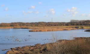 Der Große Stauteich der Rieselfelder mit neuem Flachwasserbereich. (Foto: Biologische Station Rieselfelder Münster)