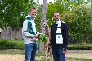 Giraffe "Rocky" frisst Preußen-Spieler Rogier "Rocky“ Krohne (li.) wortwörtlich aus der Hand. (Foto: Allwetterzoo)