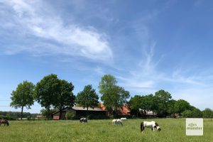 Münsterland wie aus dem Bilderbuch gibt es auch bei dieser Tour reichlich. (Foto: Bührke)