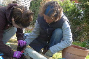 In den Zeiten von Corona ist auch Biologie-Unterricht im eigenen Garten möglich. (Foto: Brandewide)