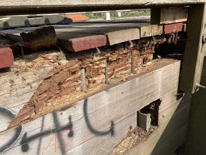 Bei einer fortgeschrittenen Schädigung von Holzbrücken besteht bei Betreten der Brücke die Gefahr, dass sie einbricht. (Fotos: Stadt Münster)