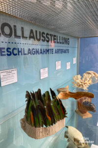 Die Ausstellung zeigt auch vom Zoll beschlagnahmte Souvenirs. (Foto: Allwetterzoo Münster)