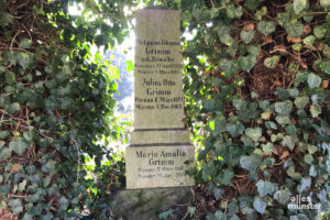 Stele auf Grimms Grab auf dem Zentralfriedhof. (Foto: Scheller)