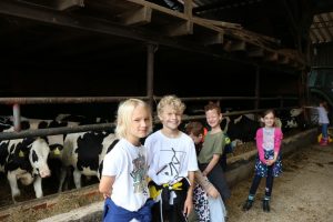 Auf dem Hof Mindrup in Wolbeck konnten Grundschüler in der vergangenen Woche Landwirtschaft hautnah kennenlernen. (Foto: WLV e.V.)