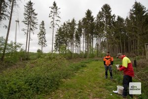 Hier stand mal ein Fichtenwald. Der Borkenkäfer hat kurzen Prozess gemacht. (Foto: Michael Bührke)