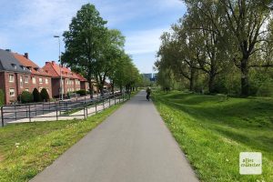 Münsters erster Deich an der Kanalstraße. (Foto: Michael Bührke)